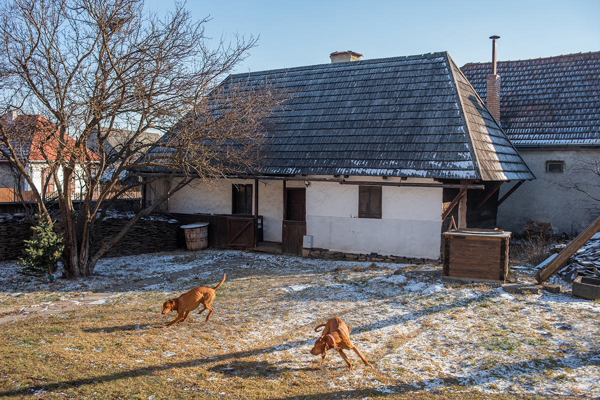 Szász-Bányász Anna